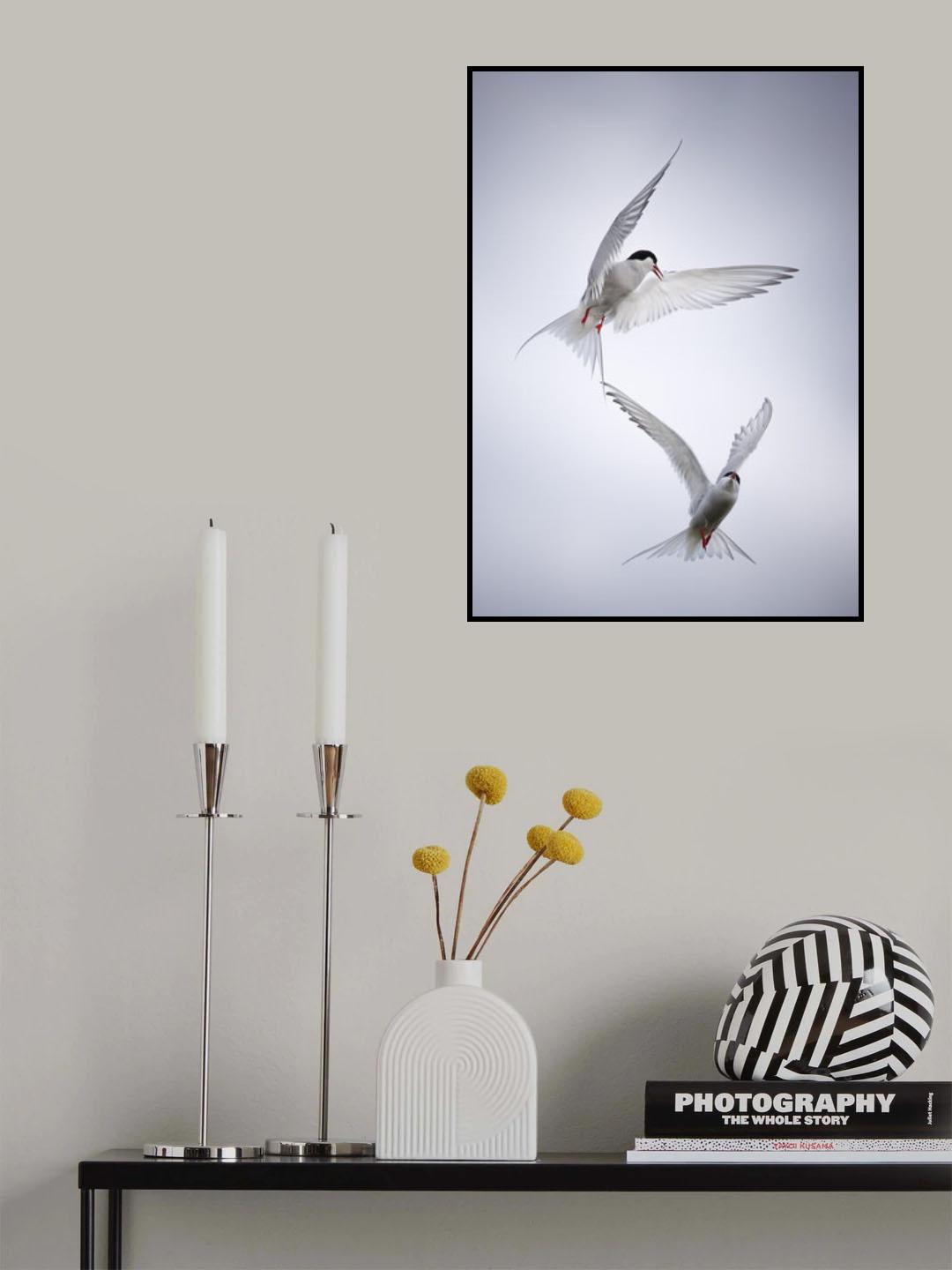 Arctic Tango Poster och Canvastavla