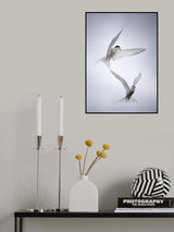 Arctic Tango Poster och Canvastavla