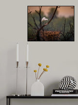 Abandoned Nest Poster och Canvastavla