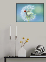 Dandy Lady Poster och Canvastavla