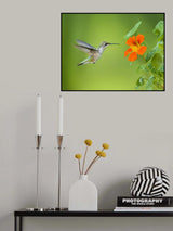 Coming to the flower Poster och Canvastavla