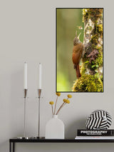 In to the air Poster och Canvastavla