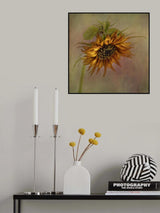 Sunflower Poster och Canvastavla