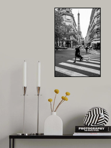Walking the dog Poster och Canvastavla
