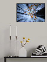 Autumn leaves Poster och Canvastavla
