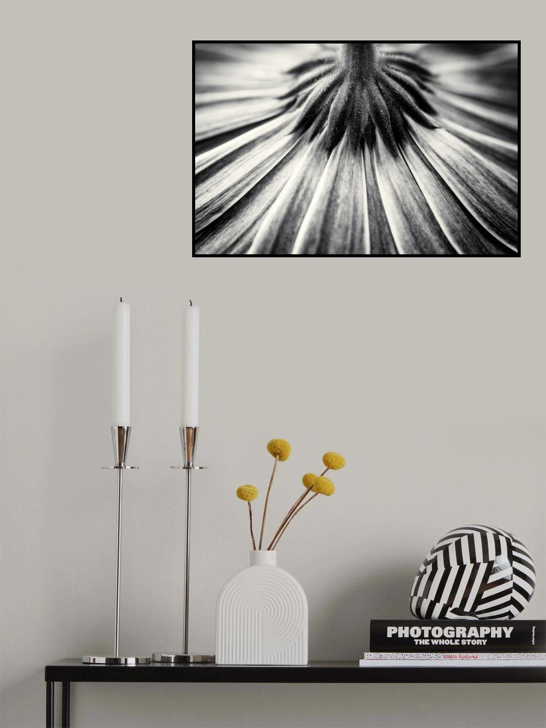 Feeling down Poster och Canvastavla