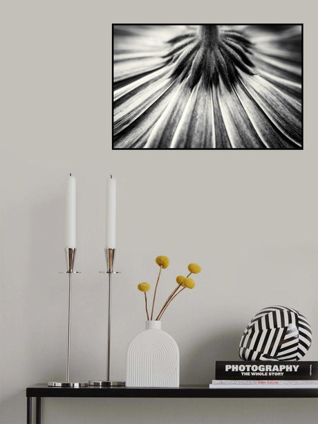 Feeling down Poster och Canvastavla