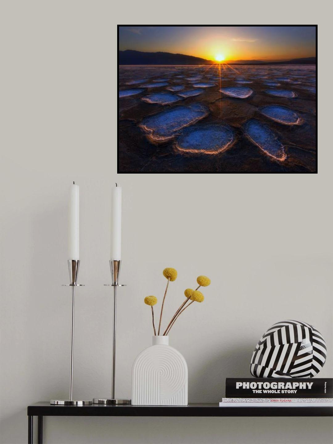 Crystal Flower in Death Valley Poster och Canvastavla