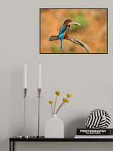 With prey in its beak Poster och Canvastavla