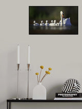 Lined up  (for mama's day training ) Poster och Canvastavla