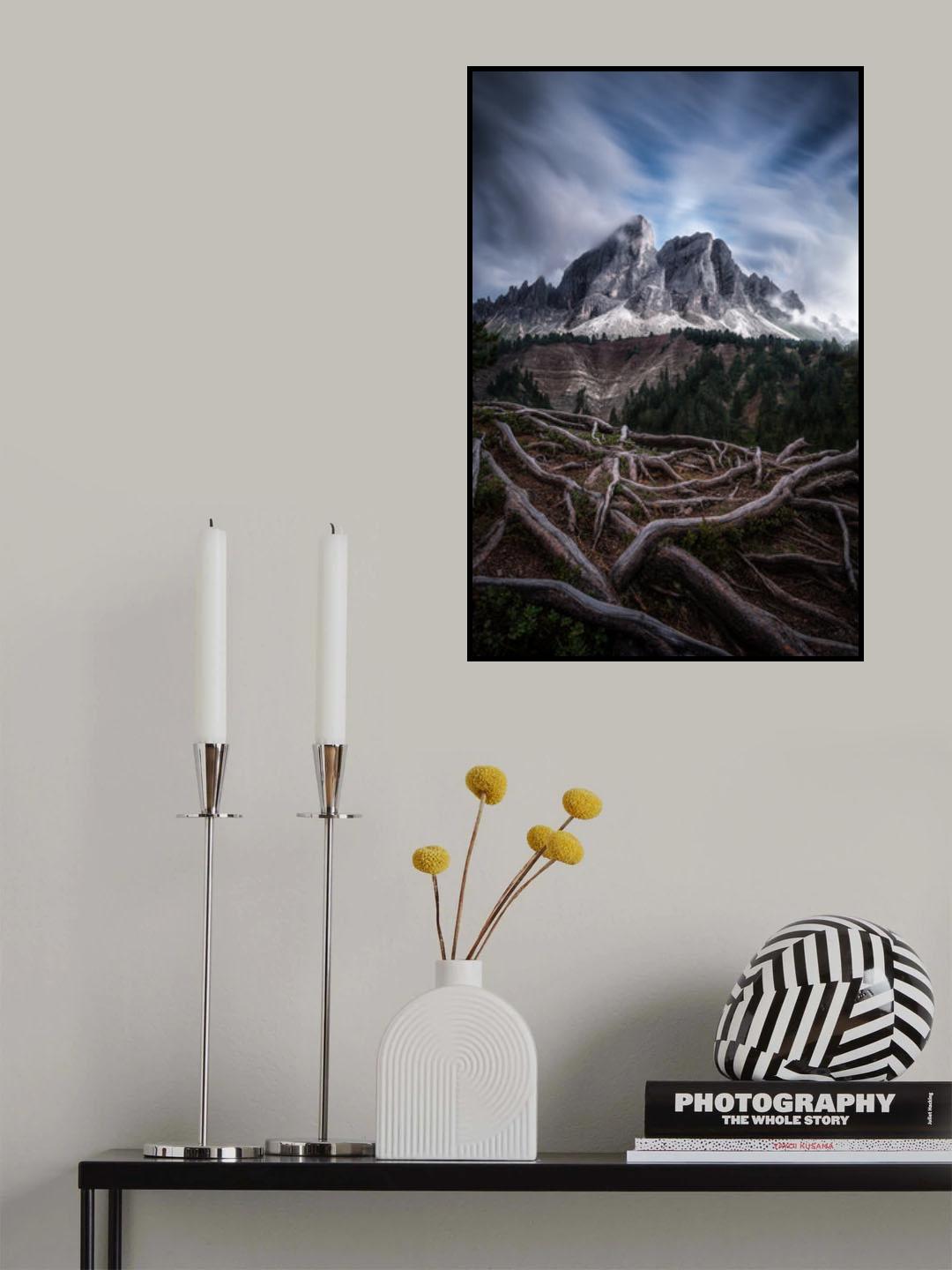 Between roots and clouds Poster och Canvastavla