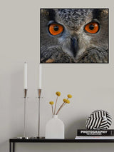 Staring at .... Poster och Canvastavla
