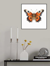 Butterfly 24 Poster och Canvastavla