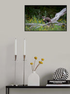 Marten in Sweden Poster och Canvastavla