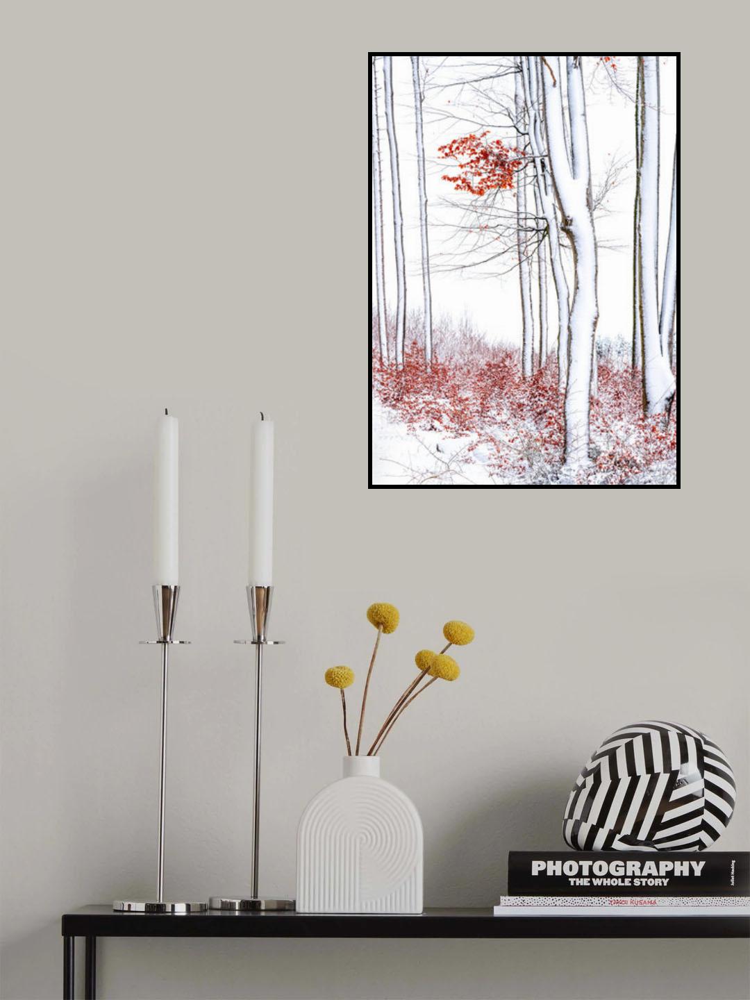 Winter elegance Poster och Canvastavla