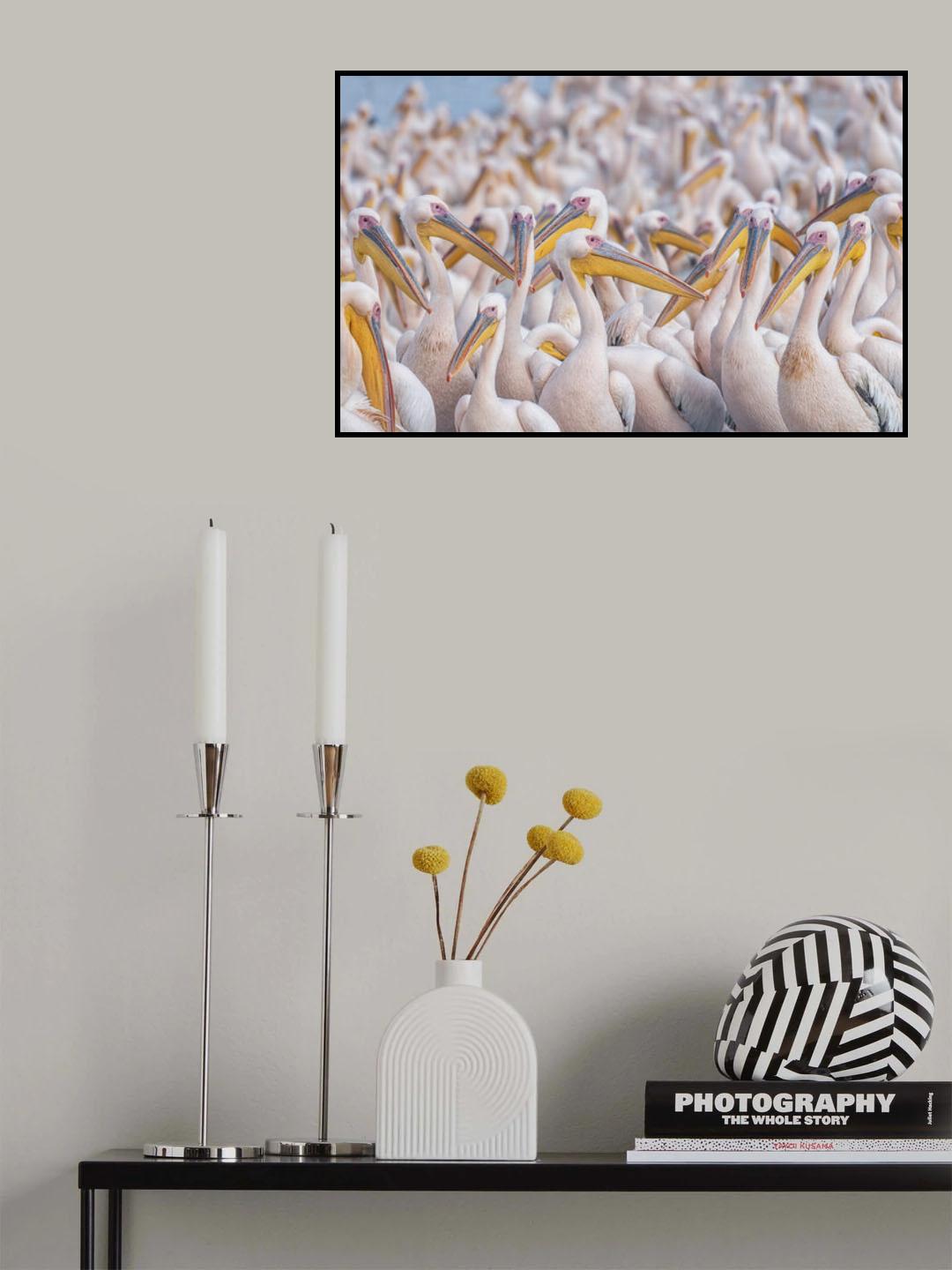 Migratory pelicans Poster och Canvastavla