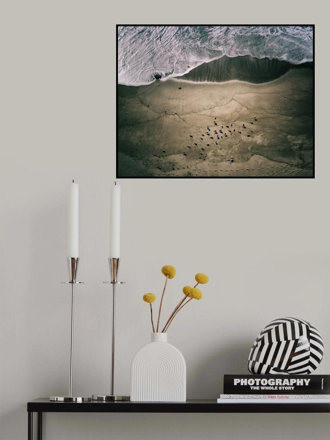 Seagulls and Surf Poster och Canvastavla