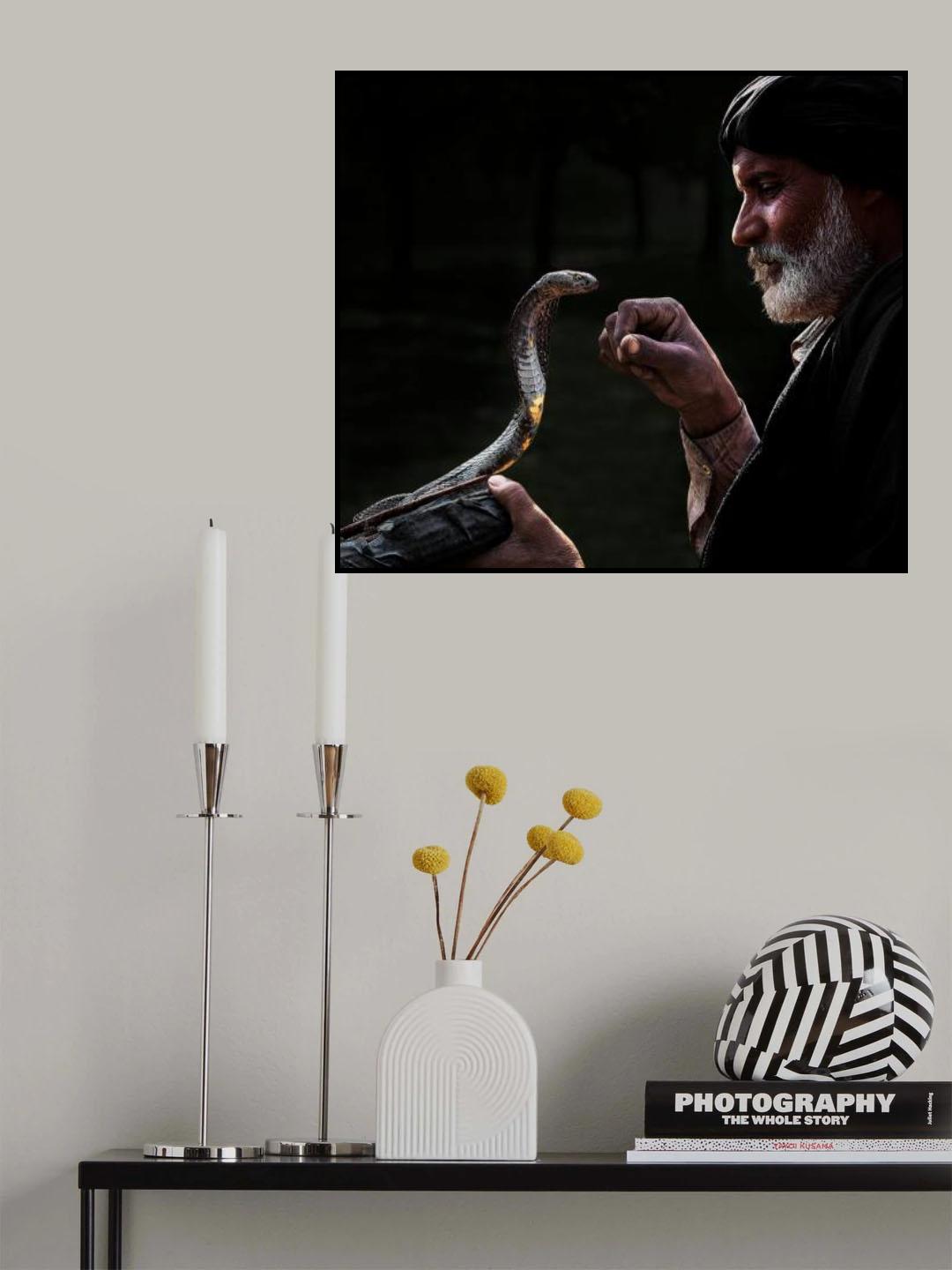 Snake Charmer Poster och Canvastavla