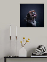 Mr Charlie Poster och Canvastavla