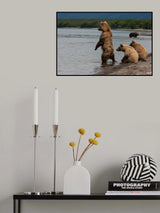 Waiting for a fish Poster och Canvastavla