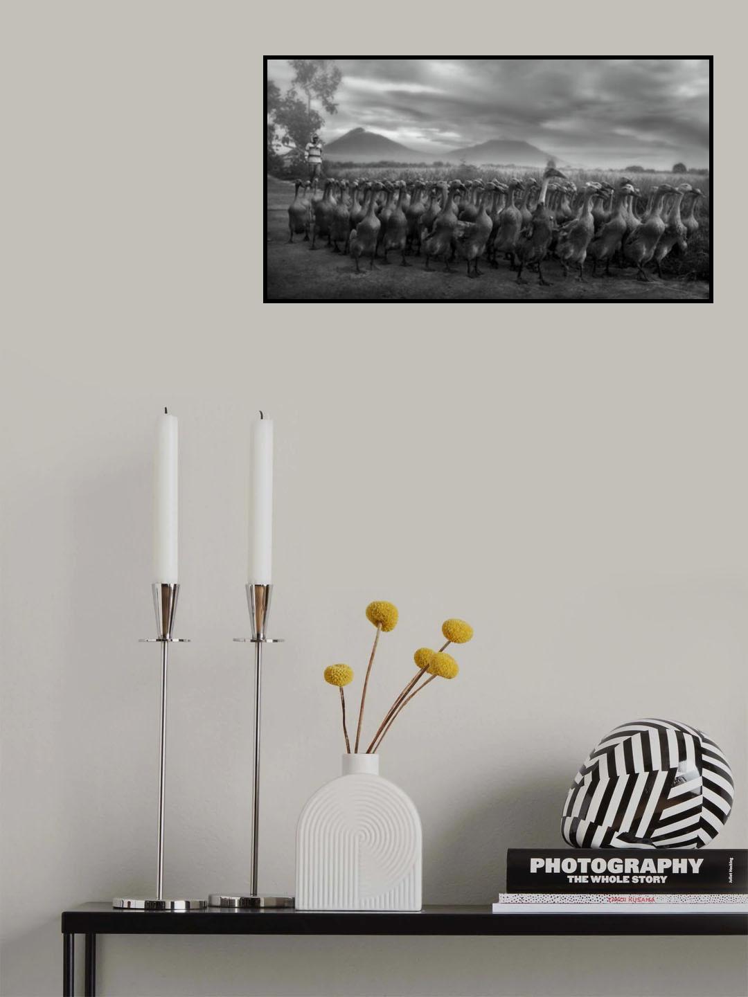 duck harvest Poster och Canvastavla