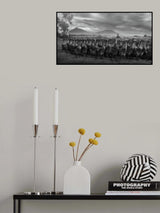 duck harvest Poster och Canvastavla