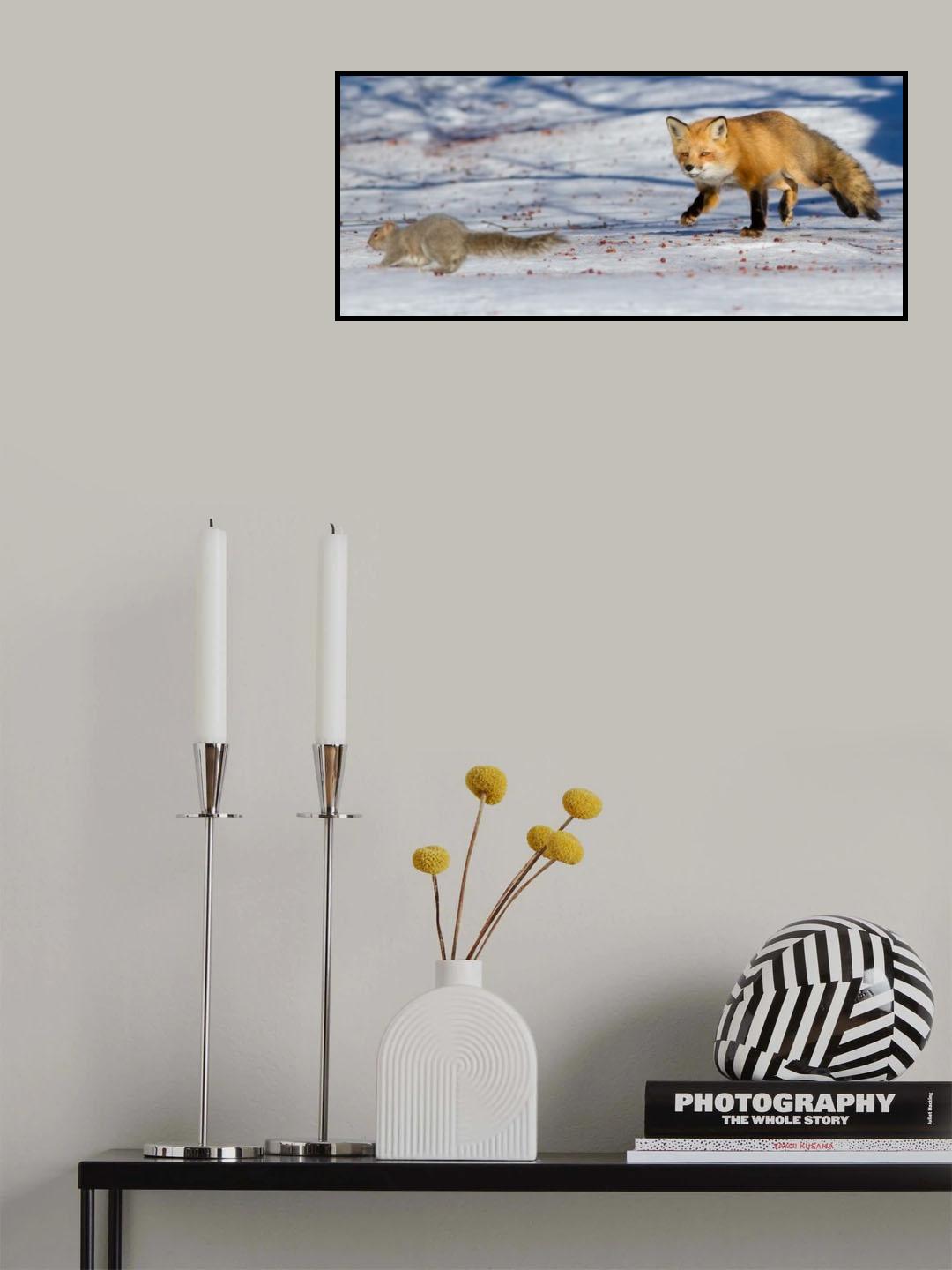 The squirrels hunter Poster och Canvastavla