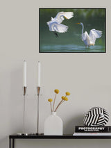 Poster och Canvastavla