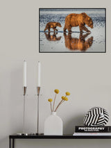 Beauty and the beast Poster och Canvastavla