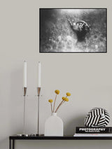 Poster och Canvastavla