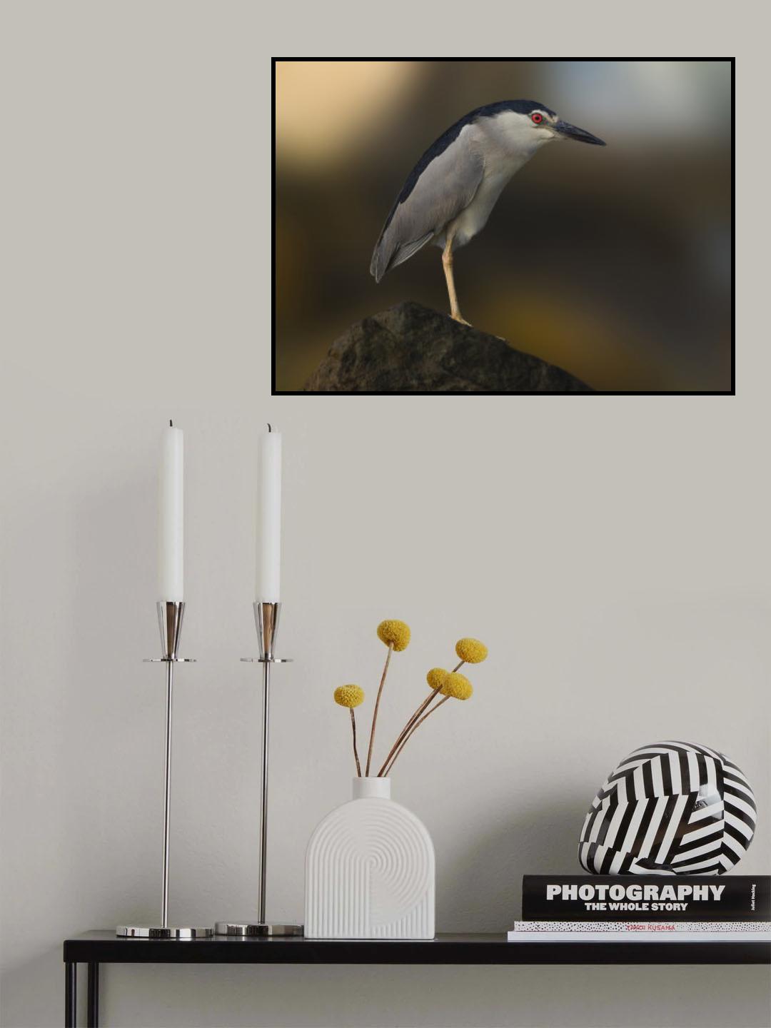 imagination Poster och Canvastavla