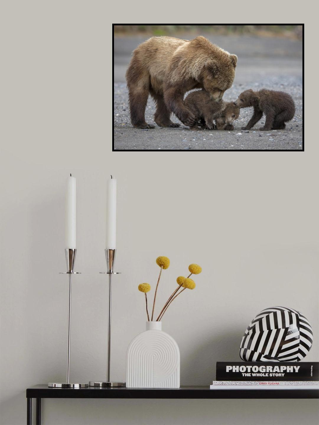 Family Tug of War Poster och Canvastavla