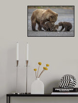 Family Tug of War Poster och Canvastavla