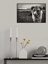 My Territory Poster och Canvastavla