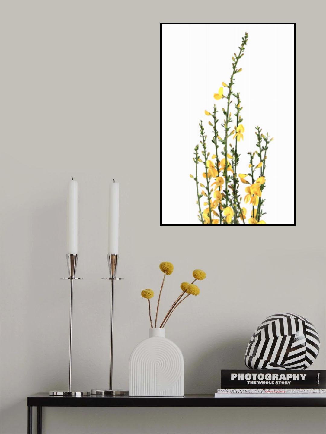 Yellow blooms Poster och Canvastavla