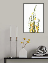 Yellow blooms Poster och Canvastavla