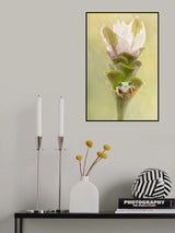 Lemur Tree Frog on A Ginger Curcuma Flower Poster och Canvastavla