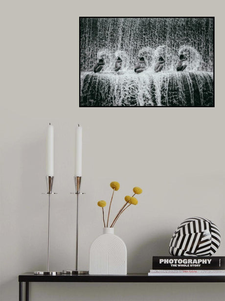 Mohawk Poster och Canvastavla