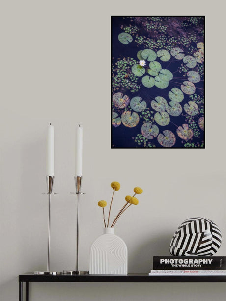 Okovango Poster och Canvastavla