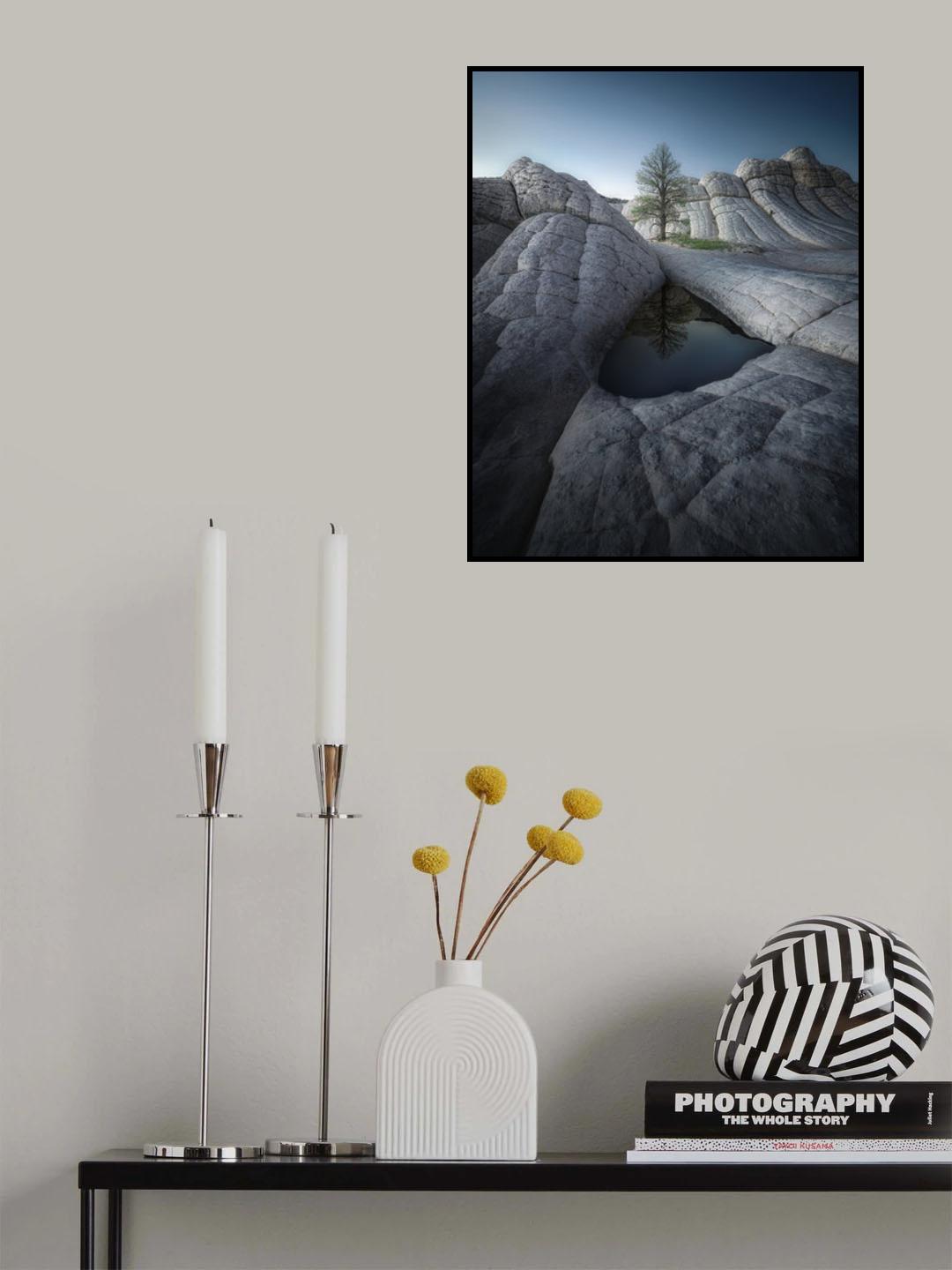 The Moon on Earth Poster och Canvastavla