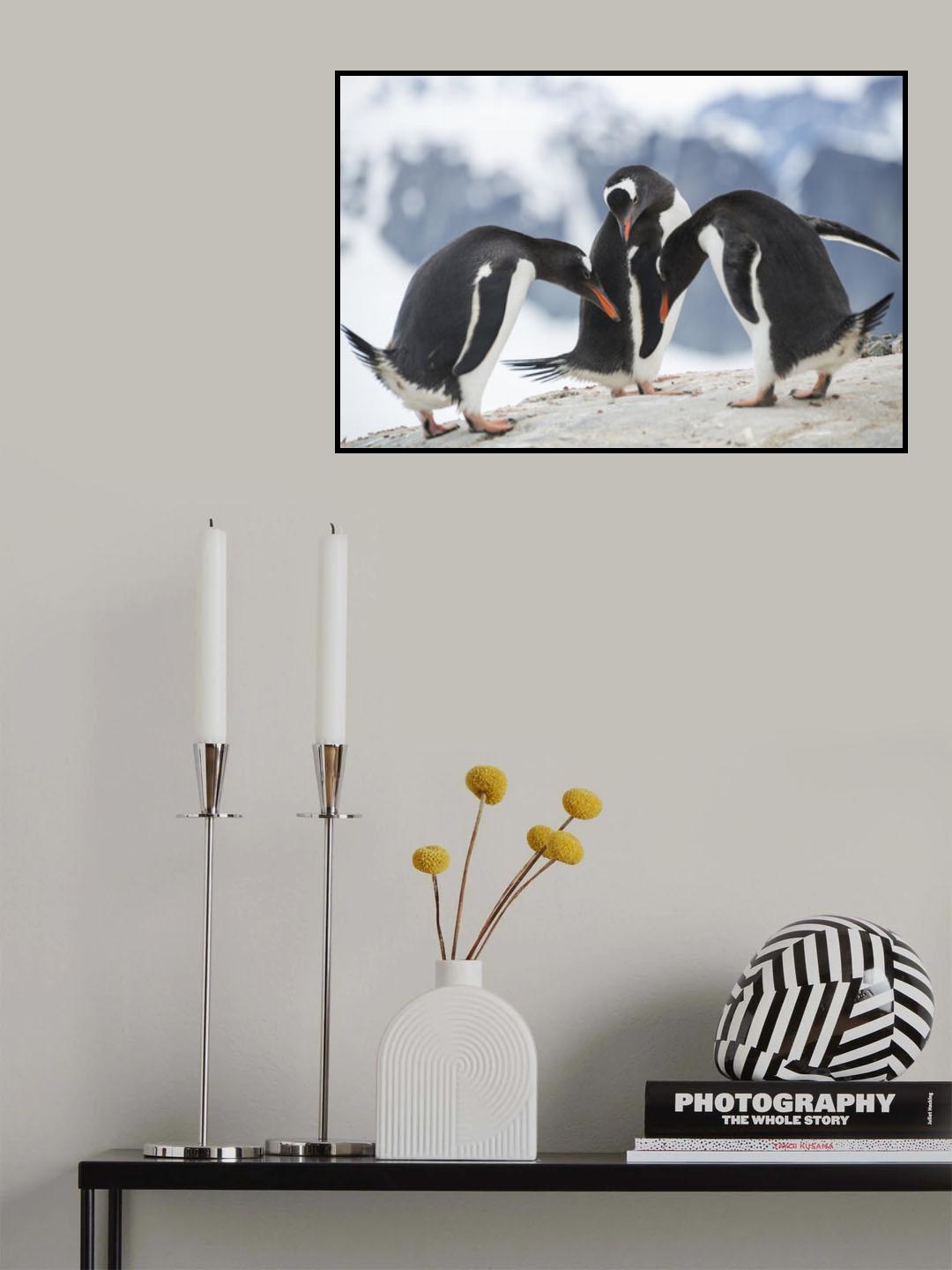 Poster och Canvastavla