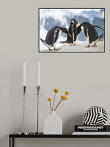 Poster och Canvastavla