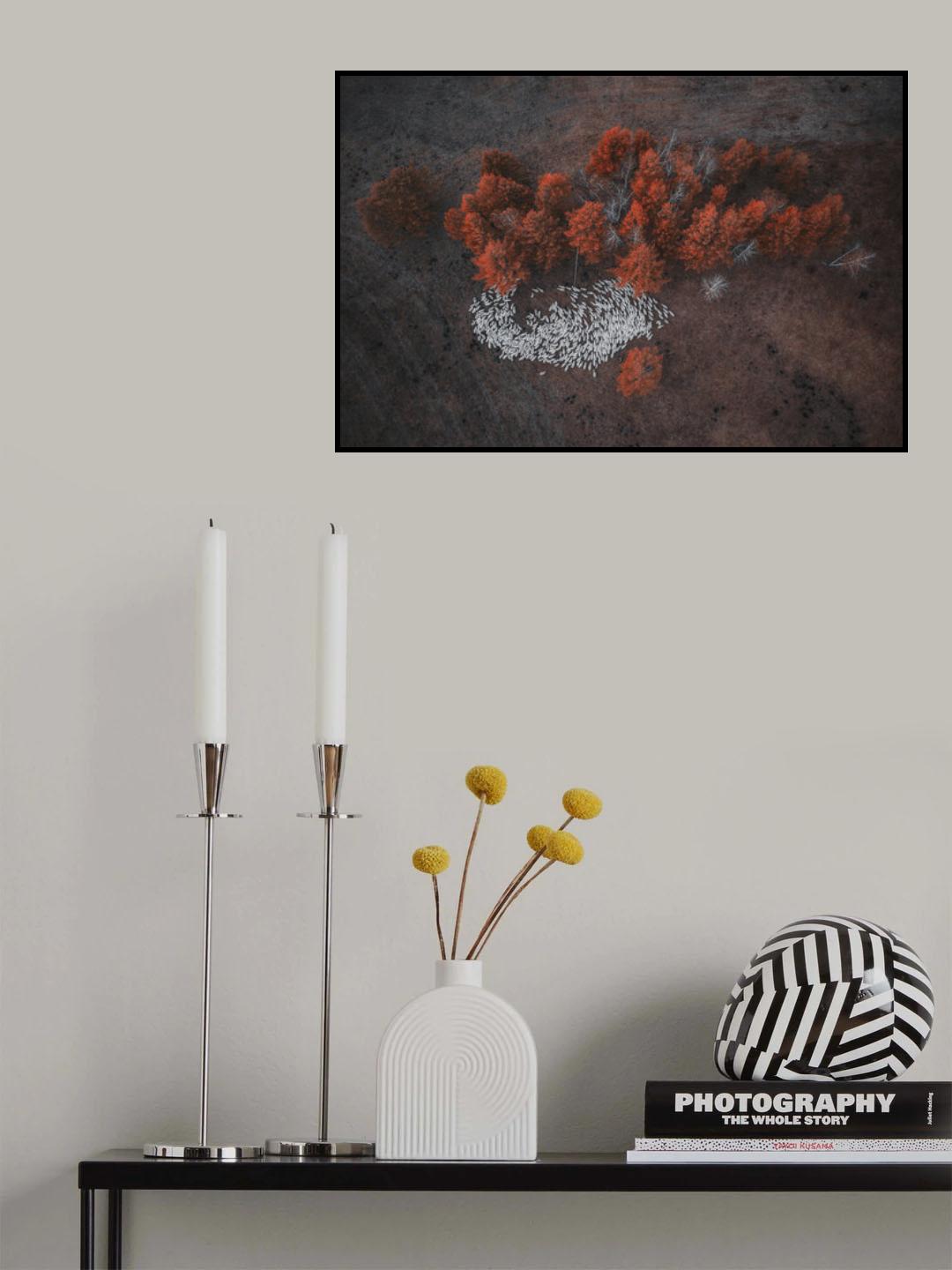 Shepherd Group Poster och Canvastavla