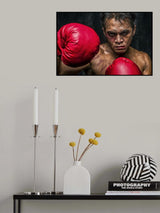Martin The Boxer Poster och Canvastavla