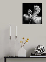 Crisscross Poster och Canvastavla