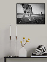 Hello Poster och Canvastavla