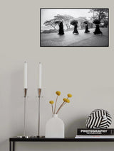 Abbey Road Poster och Canvastavla