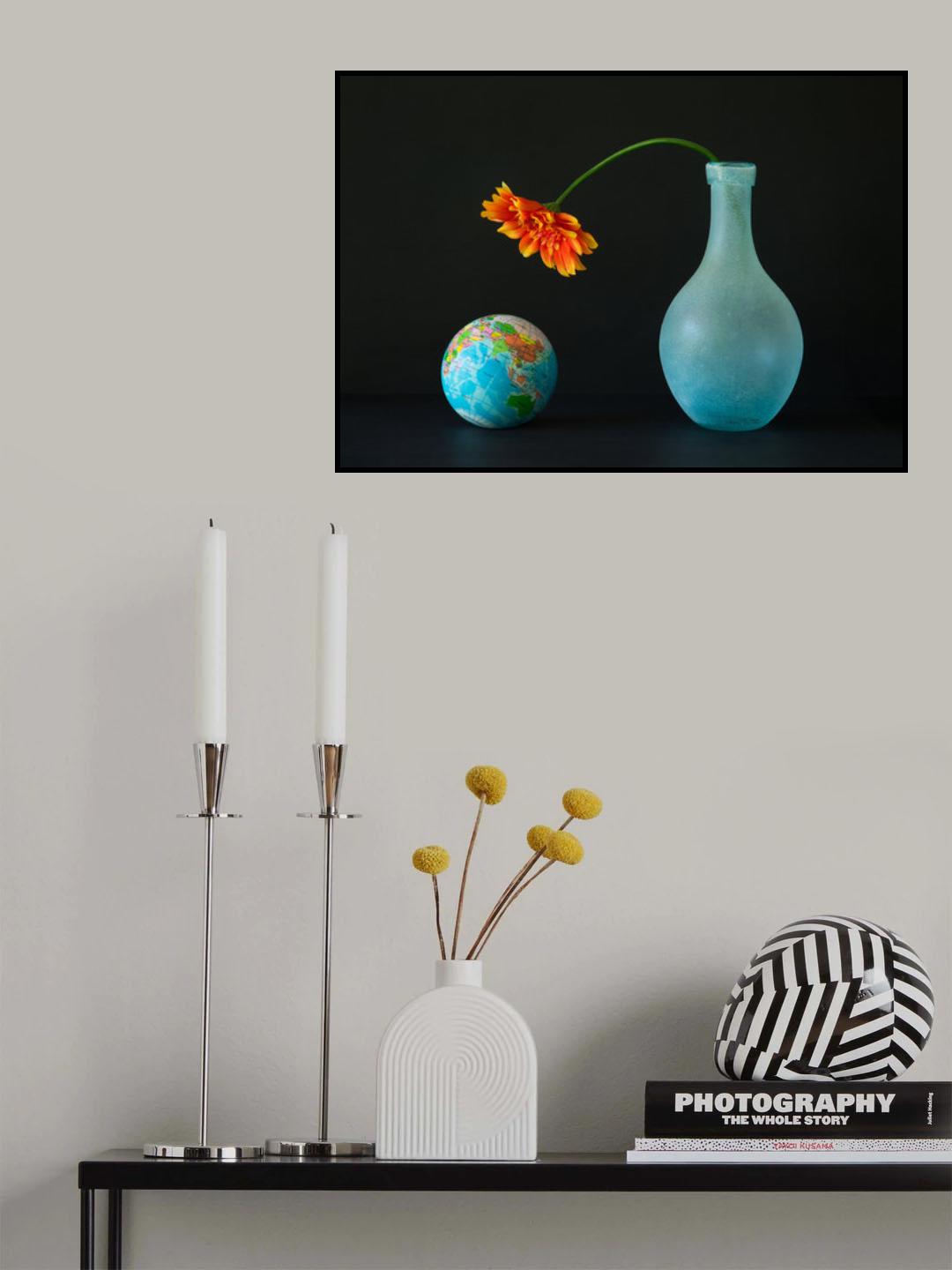 Viewing the Globe Poster och Canvastavla