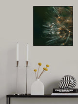 noble dandelion Poster och Canvastavla
