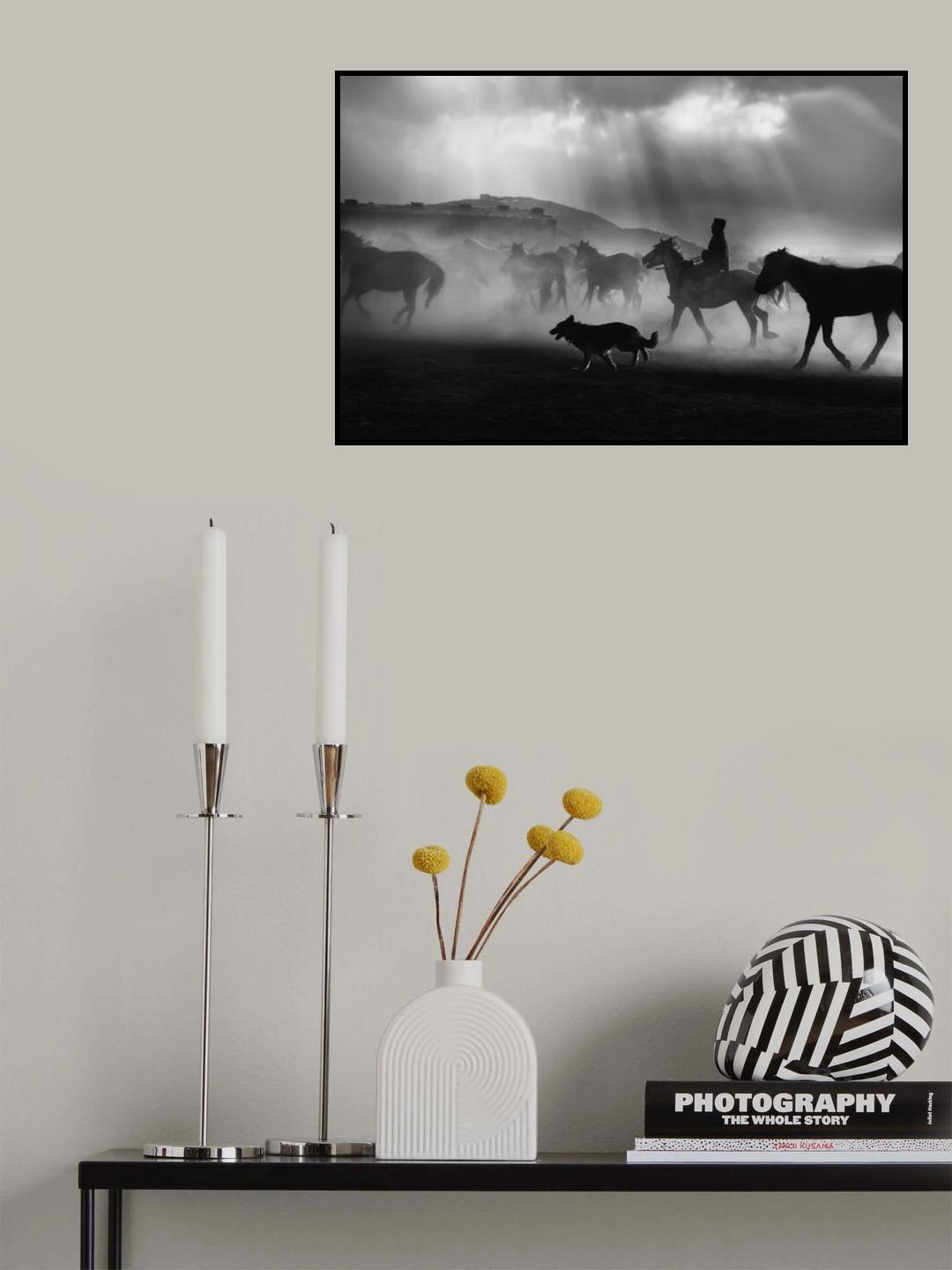Free horses Poster och Canvastavla